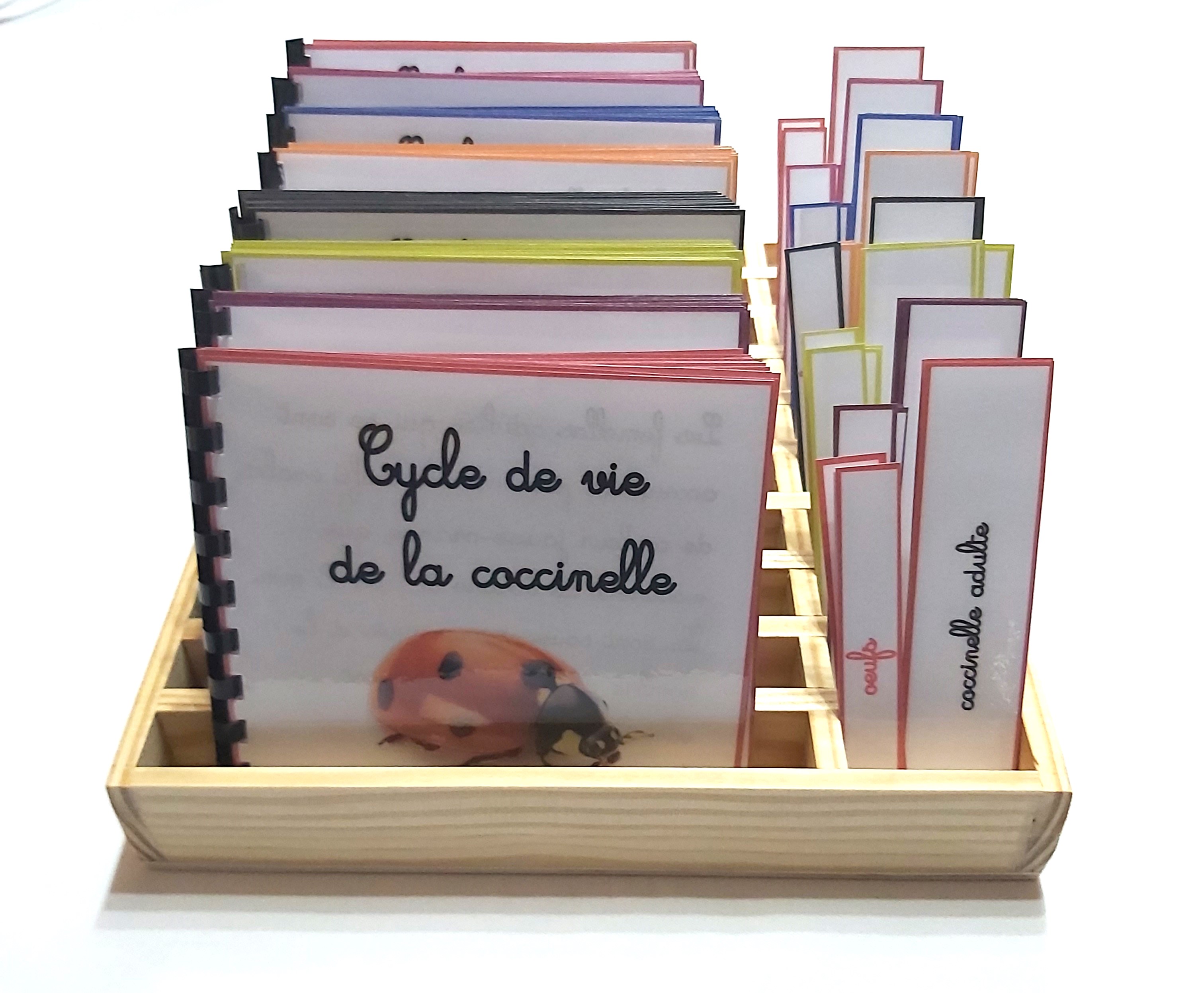 Boîte pour nomenclature cycle de vie boîte seul